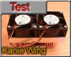 Kanie Wings